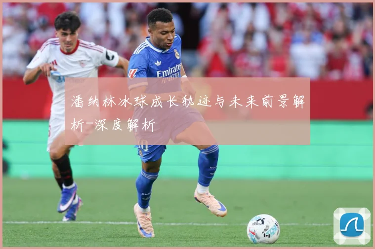潘纳林冰球成长轨迹与未来前景解析-深度解析