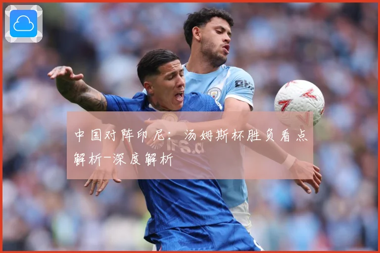 中国对阵印尼：汤姆斯杯胜负看点解析-深度解析