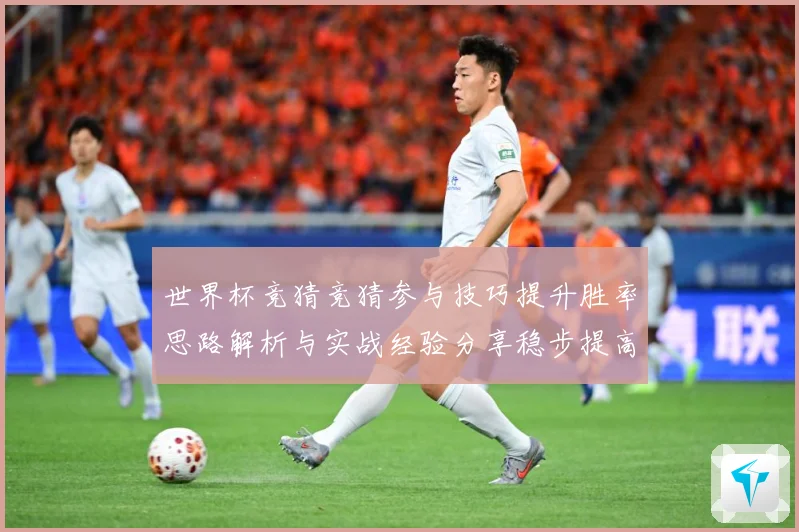 世界杯竞猜竞猜参与技巧提升胜率思路解析与实战经验分享稳步提高数据研判-深度解析