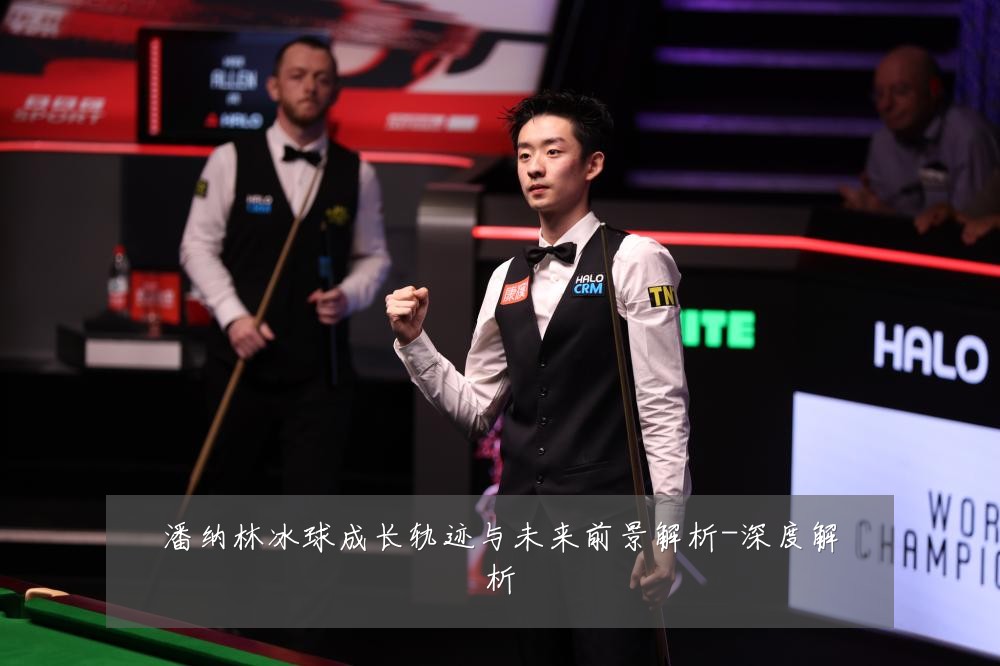 潘纳林冰球成长轨迹与未来前景解析-深度解析