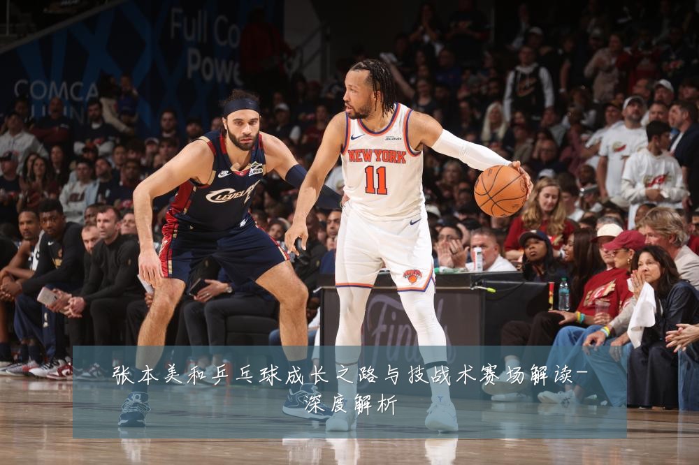 张本美和乒乓球成长之路与技战术赛场解读-深度解析